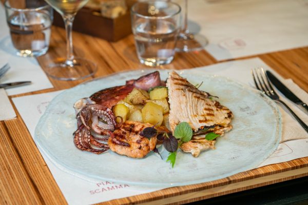 13122023-DSC00488 13122023-DSC00488